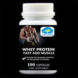 Whey Fast Add Muscle Protein Powder