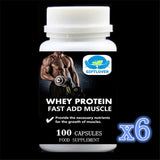 Whey Fast Add Muscle Protein Powder